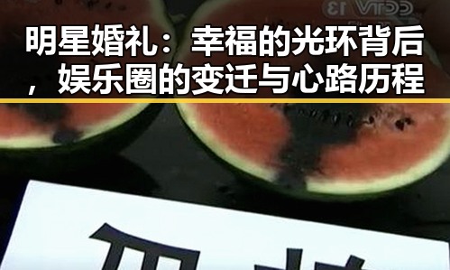 明星婚礼：幸福的光环背后，娱乐圈的变迁与心路历程