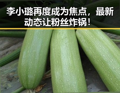 李小璐再度成为焦点,最新动态让粉丝炸锅!